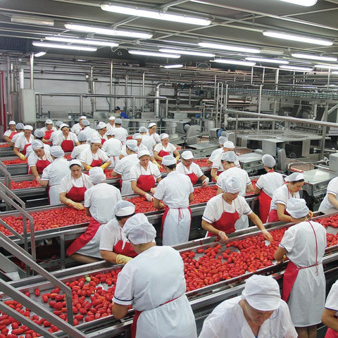 The secret behind San Marzano tomatoes: Why they're the best for sauces