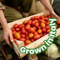 Cala La pasta - Enjoy the Real Italian Flavour - Thumb 3